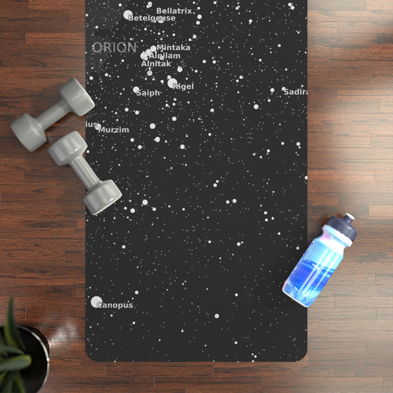 Fitness and Nutrition